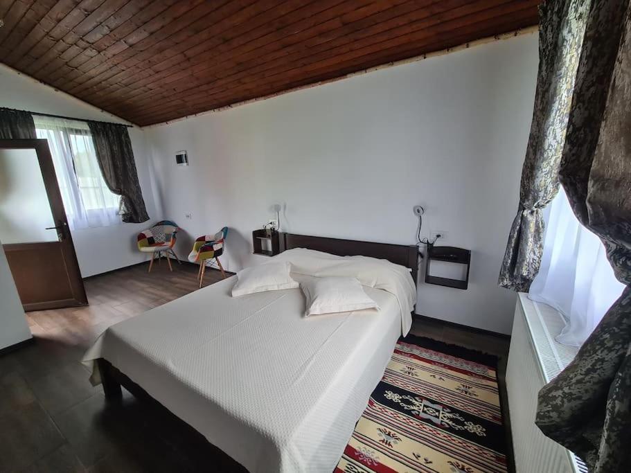 Cabana Bujor De Munte Rîşnov Buitenkant foto